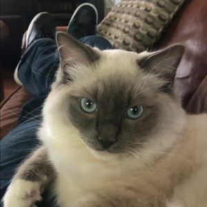 Meet your Posher, Ernie